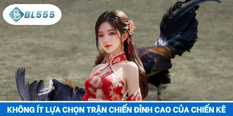 Không ít lựa chọn trận chiến đỉnh cao của chiến kê